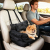 Viajar en coche con tu perro sin sustos