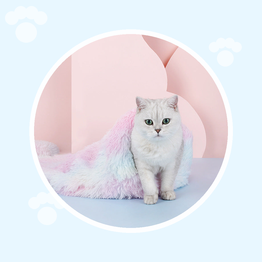 Esenciales para gatosEsenciales para gatos