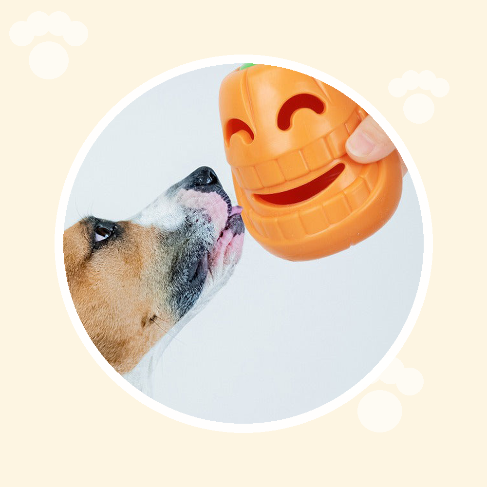 Juguetes y estimulación para perros y gatos