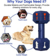 Mordedor dental resistente para perros