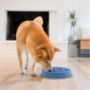 Comedero antivoracidad azul 2 tazas