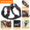 Conjunto de arnés antitirones collar y correa