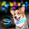 Collar LED recargable por USB