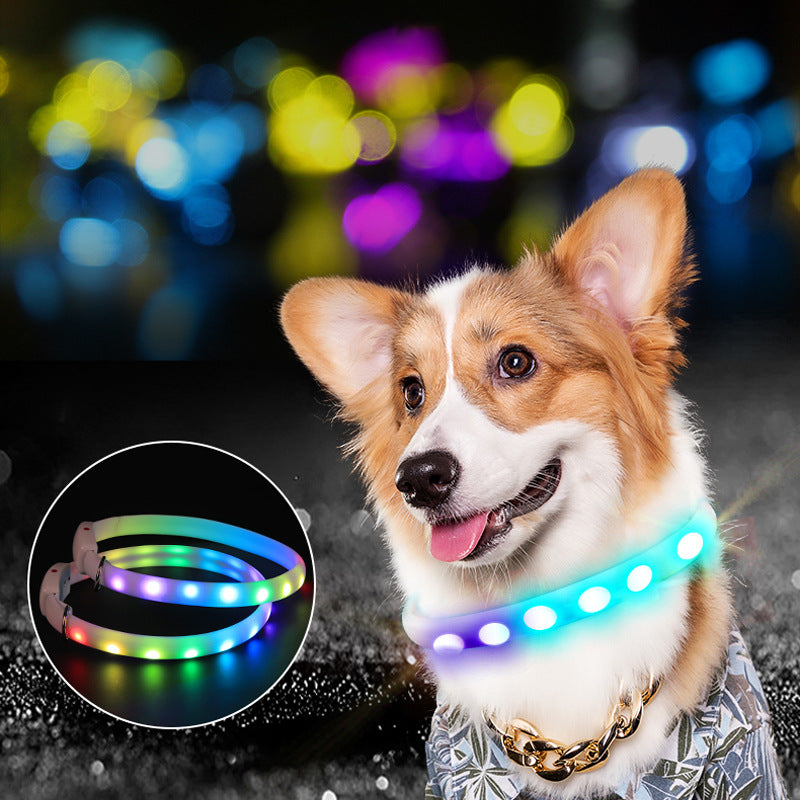 Collar LED recargable por USB