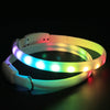 Collar LED recargable por USB